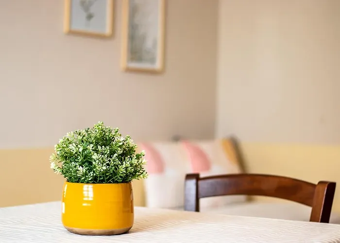 Il Bio Nonno Τσέντο